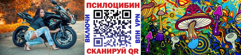 гидра tor  Обь  Псилоцибиновые грибы Psilocybe 